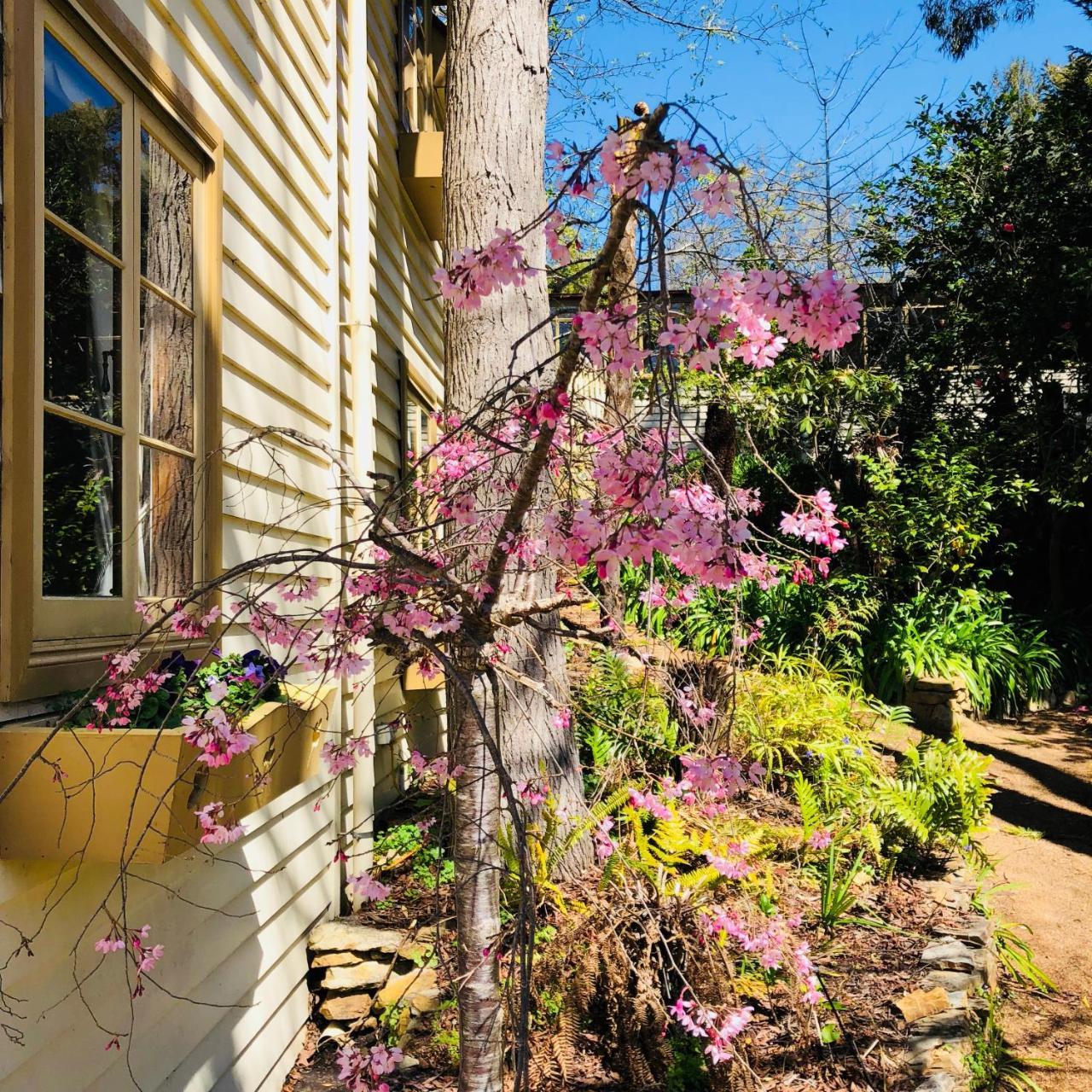 Aldgate Creek Cottage Bed And Breakfast Buitenkant foto